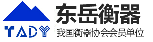 泰安市東岳衡器有限責(zé)任公司 泰安市東岳衡器有限責(zé)任公司